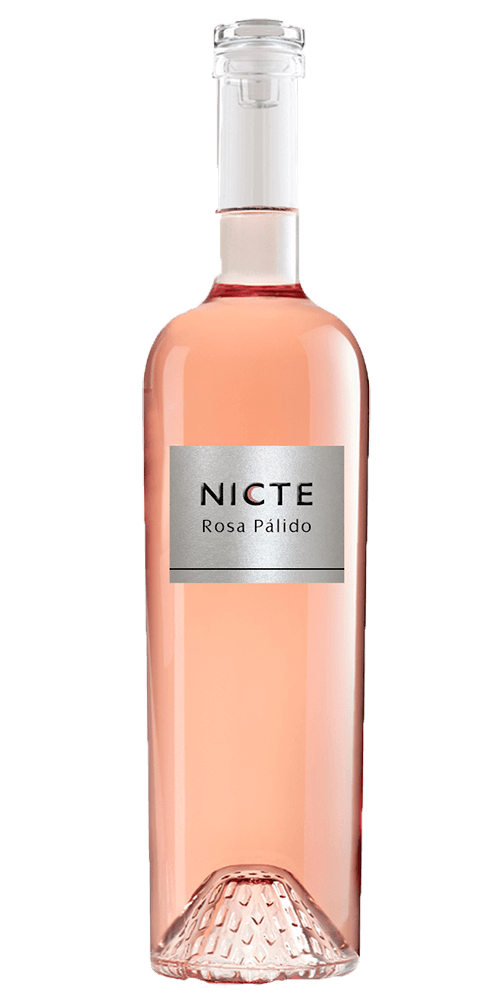Nicte Rosa Pálido