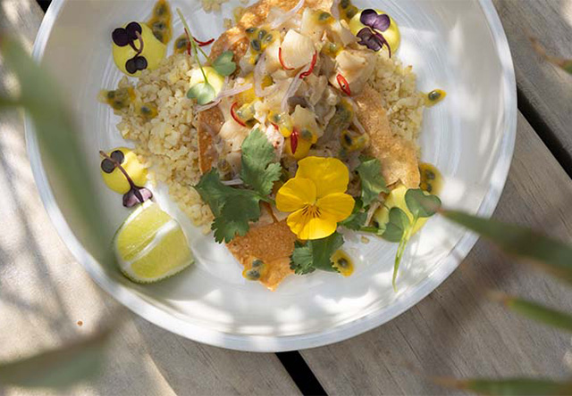 Vegan Wine & Food I in Stuttgart im Vhy