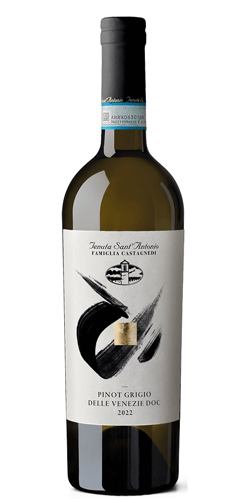 Pinot Grigio delle Venezie DOC //