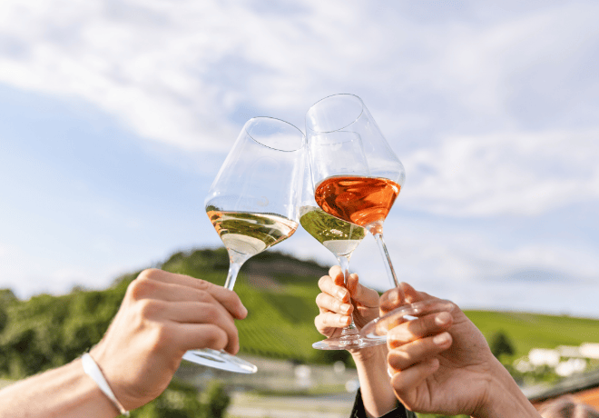 Best of WEIN-MOMENT | Home Tasting NEU