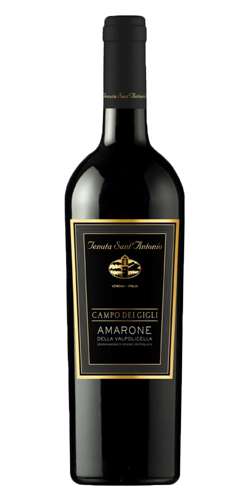 Amarone Campo dei Gigli