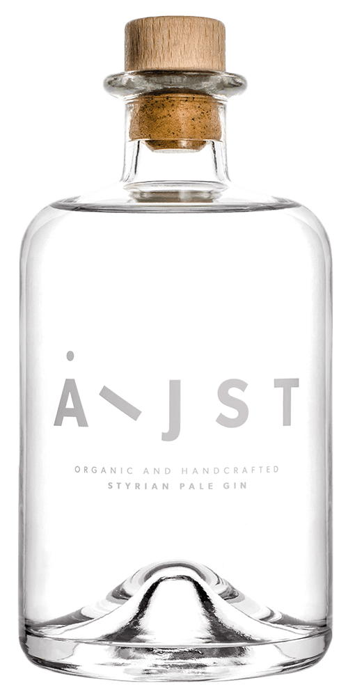 Aeijst