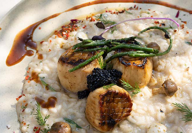 Vegan Wine & Food I in Stuttgart im Vhy