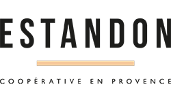 Estandon