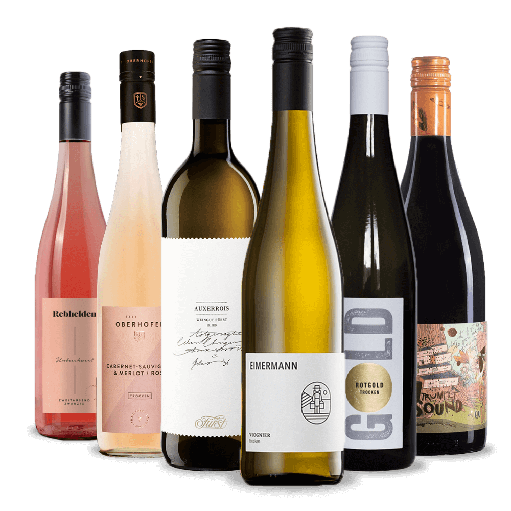 Jungwinzer Probierpaket 6er